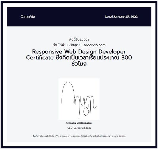 Responsive Web Desing Developer